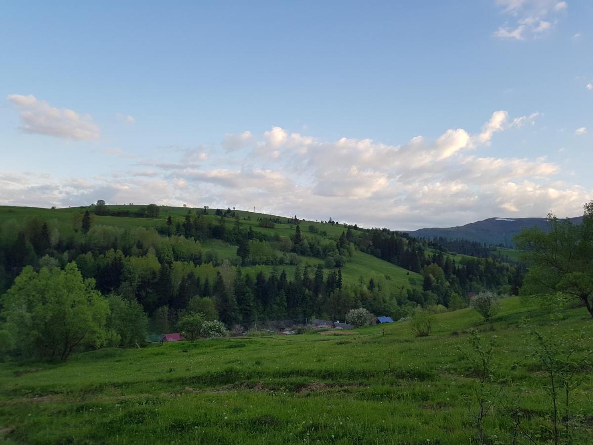 Карпатський Будинок Izki Exterior foto